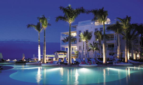 The Palms The Palms